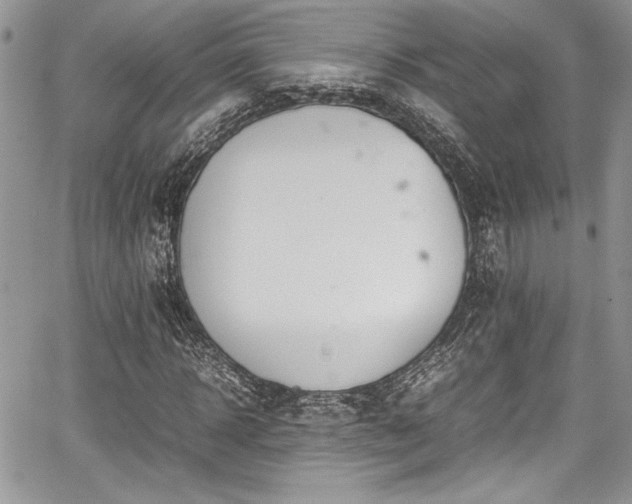 X0000067950918200604171431