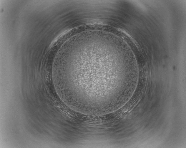 X0000067950919200604171431