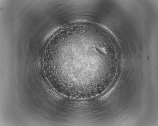 X0000067950921200604171431