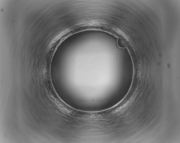 X0000067950922200604171431