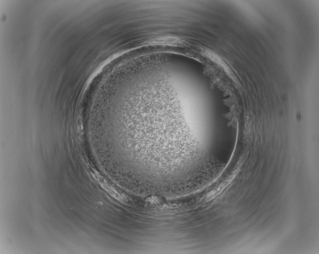 X0000067950923200604171431