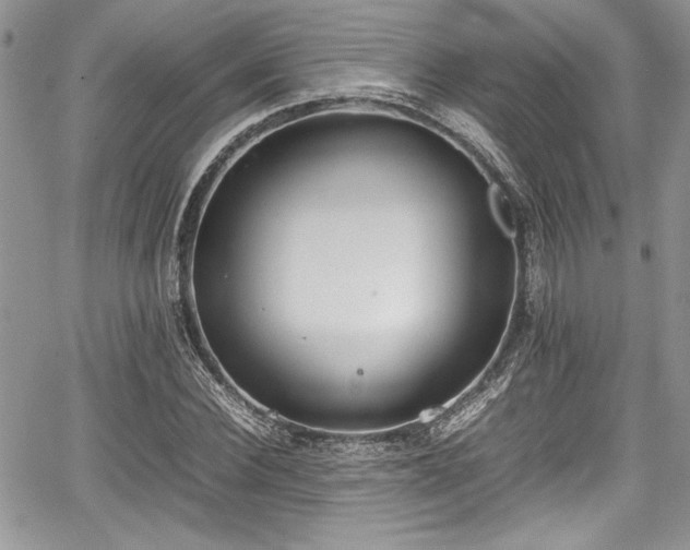 X0000067950924200604171431