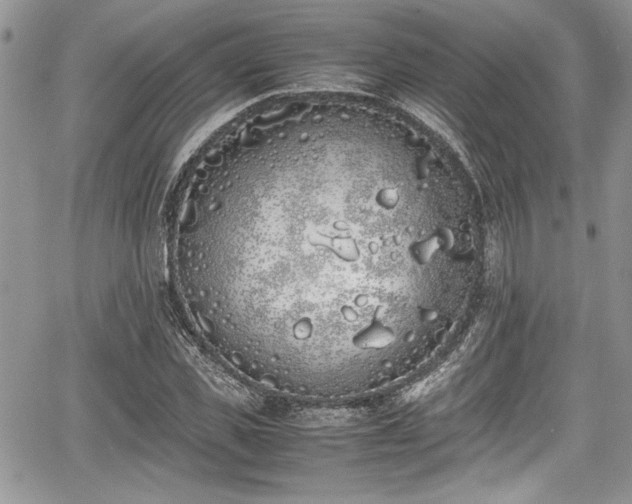 X0000067950925200604171431