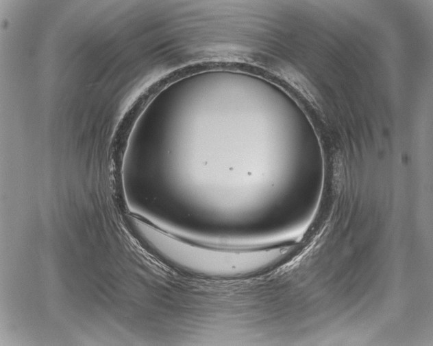 X0000067950926200604171431