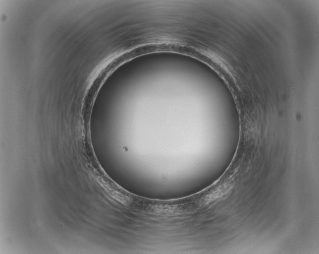 X0000067950927200604171431