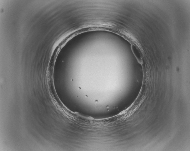 X0000067950928200604171431