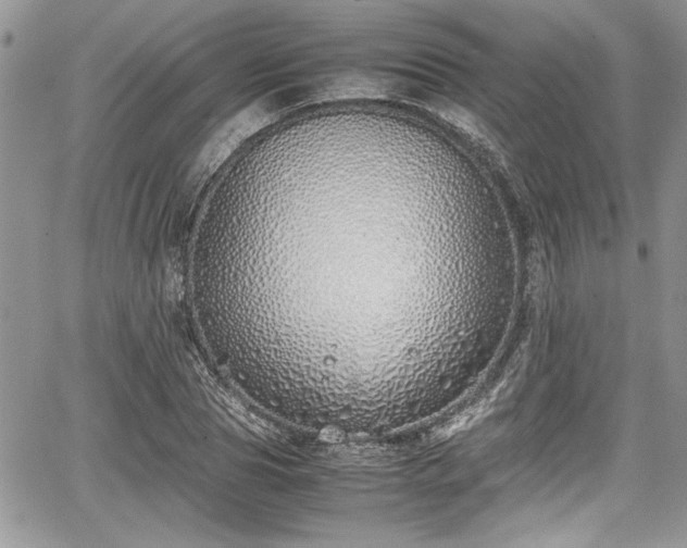 X0000067950929200604171431