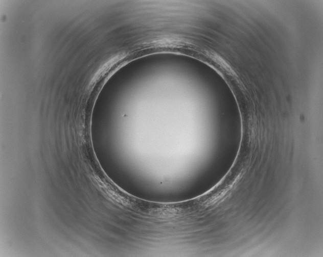 X0000067950930200604171431