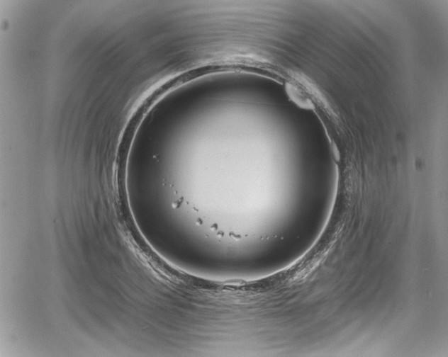 X0000067950932200604171432