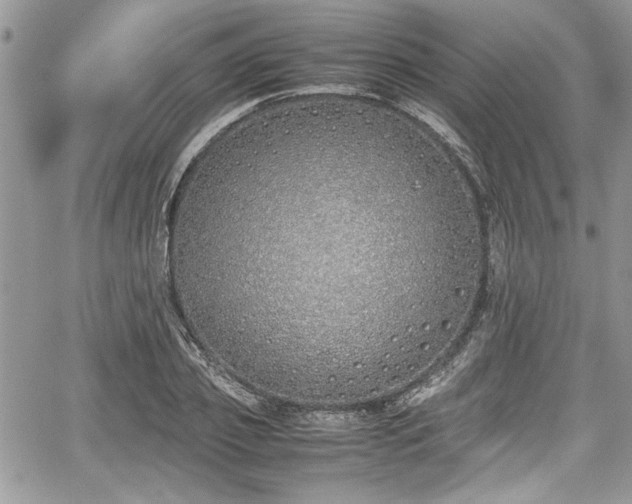 X0000067950933200604171432