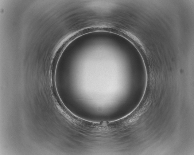 X0000067950935200604171432