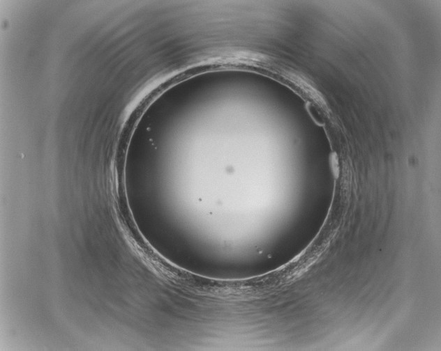 X0000067950936200604171432