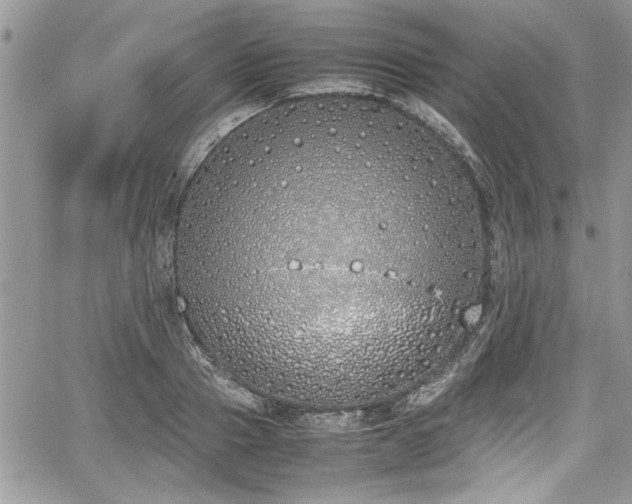 X0000067950937200604171432