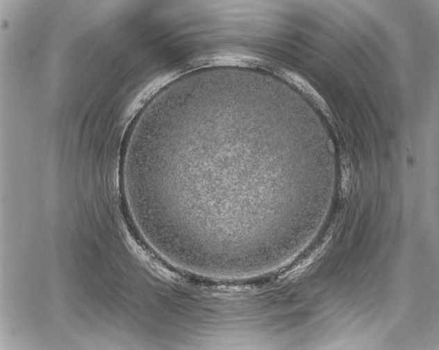 X0000067950938200604171432