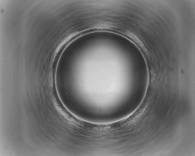 X0000067950939200604171432