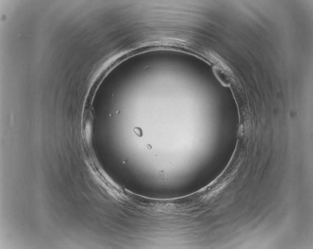 X0000067950940200604171432