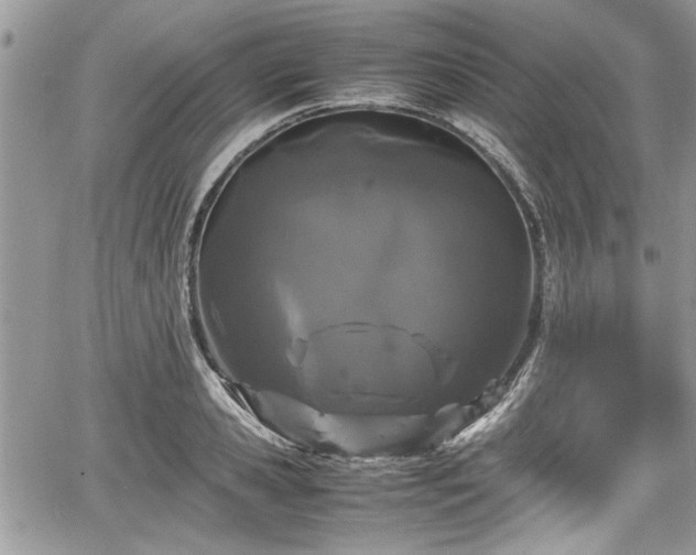 X0000067950941200604171432