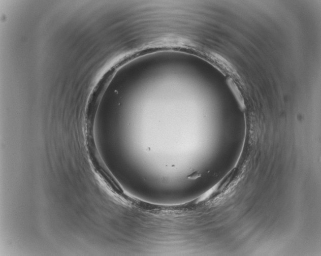 X0000067950942200604171432