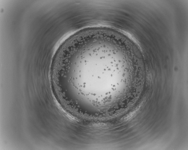 X0000067950943200604171432