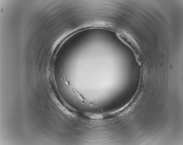 X0000067950944200604171432