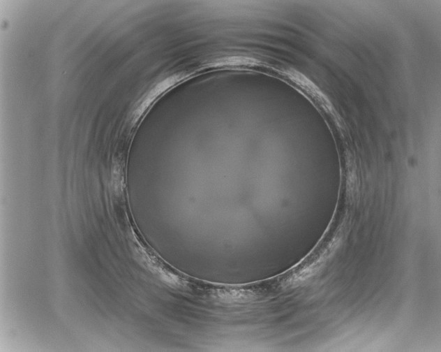 X0000067950945200604171432