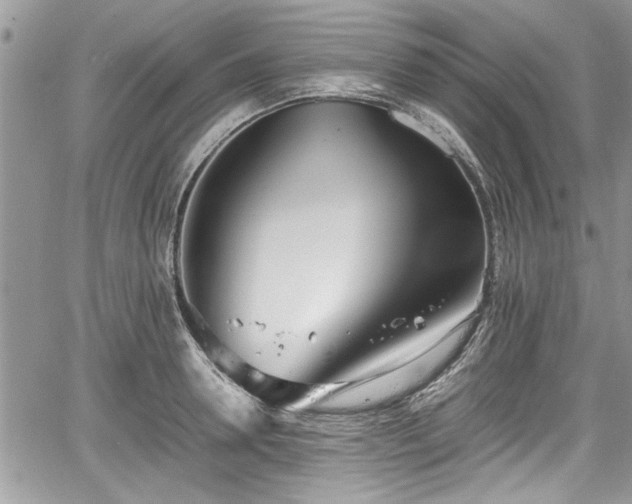 X0000067950946200604171432