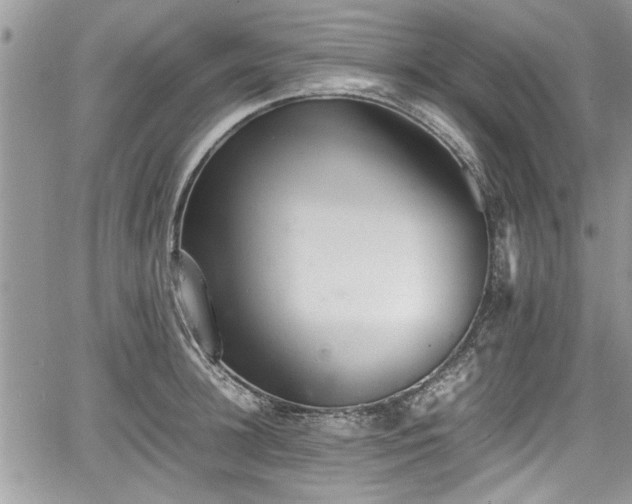 X0000067950948200604171432