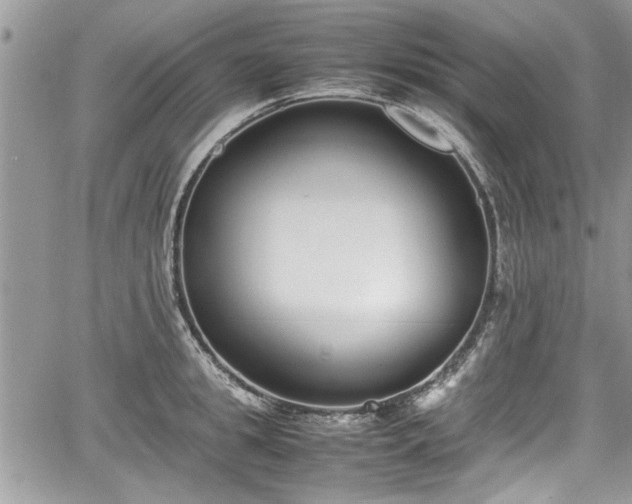 X0000067950949200604171432