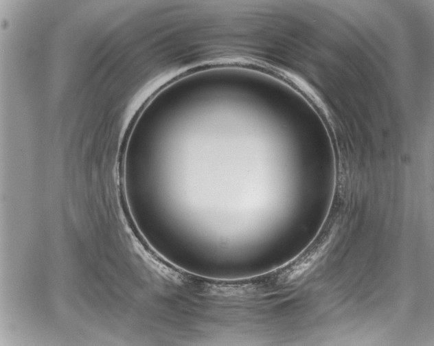 X0000067950951200604171432