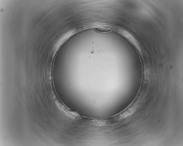 X0000067950954200604171432