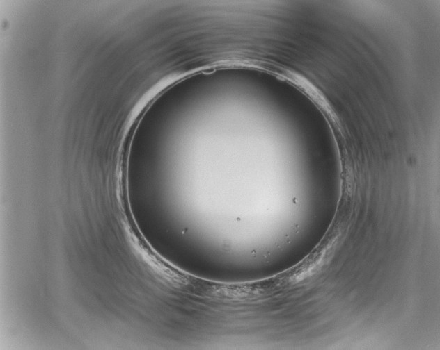 X0000067950955200604171432