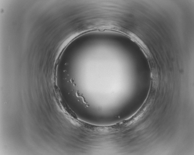 X0000067950956200604171432