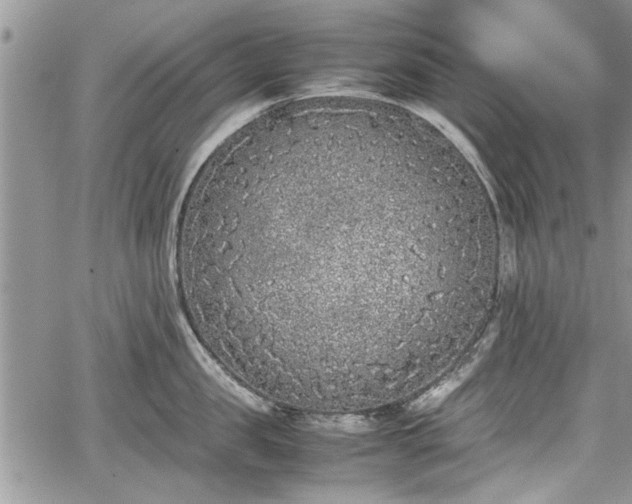 X0000067950957200604171432