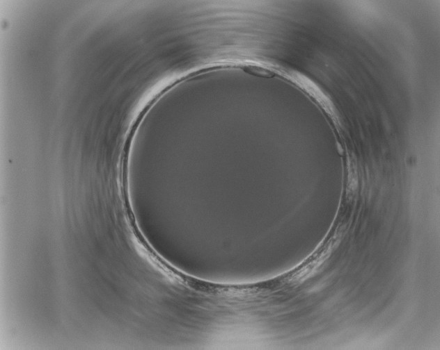 X0000067950958200604171432