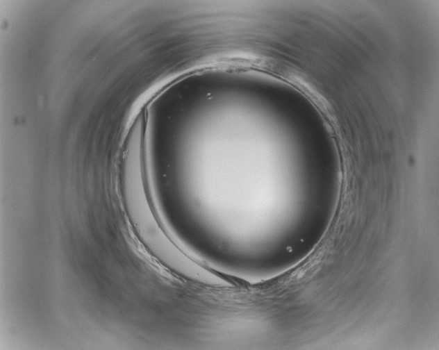 X0000067950960200604171432