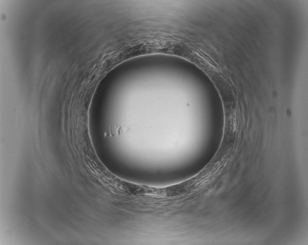 X0000067950961200604171431