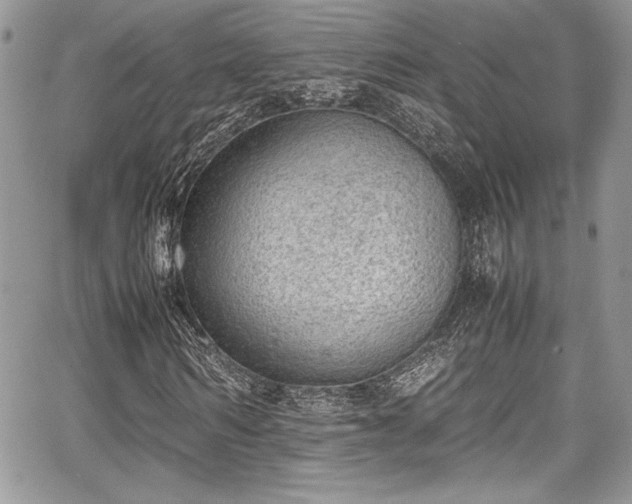 X0000067950962200604171431