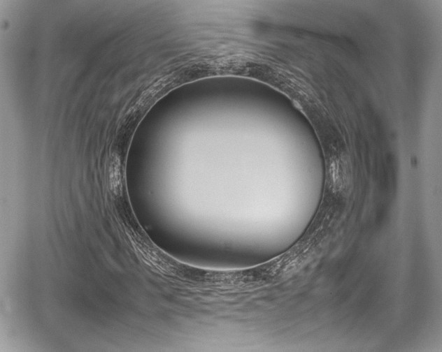 X0000067950963200604171431