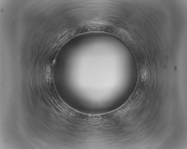 X0000067950964200604171431