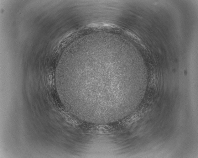 X0000067950966200604171431