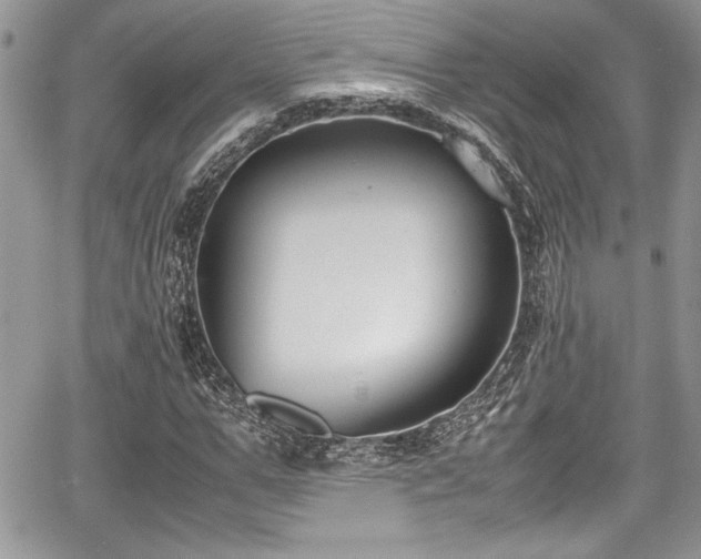 X0000067950967200604171431