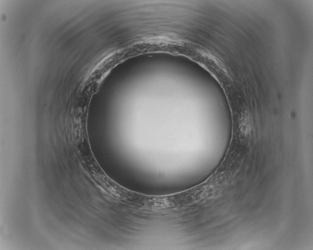 X0000067950968200604171431