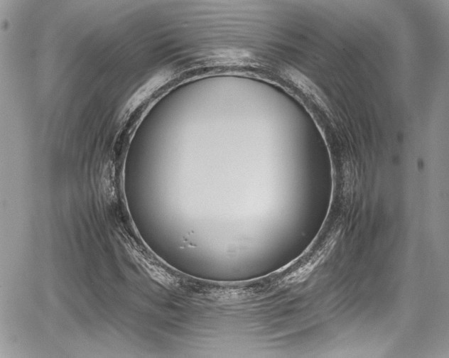 X0000067950970200604171431