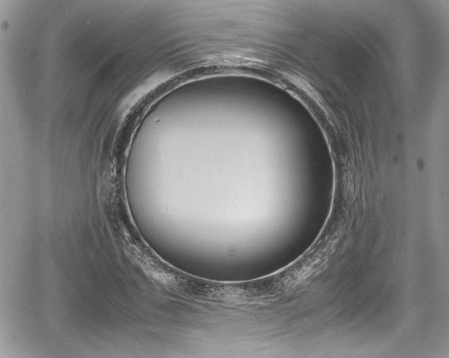 X0000067950971200604171431