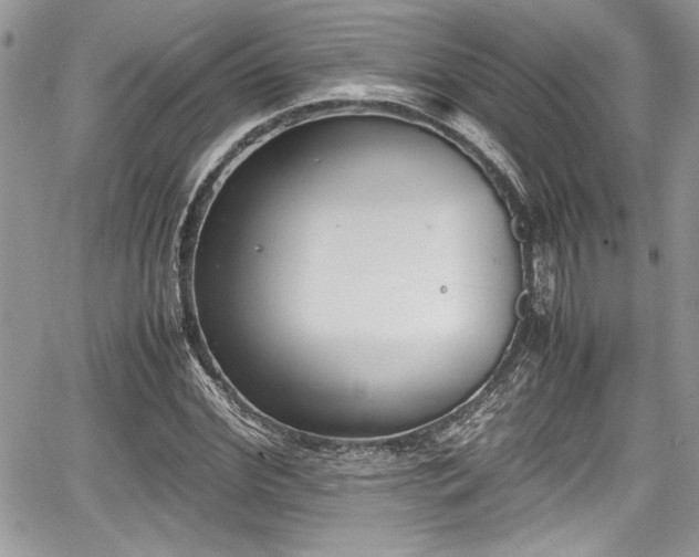 X0000067950972200604171431