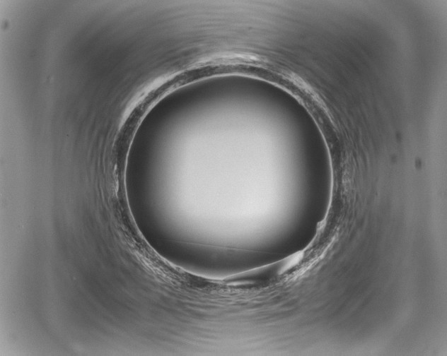 X0000067950973200604171431