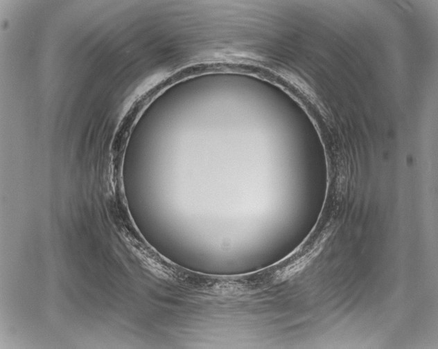 X0000067950974200604171431