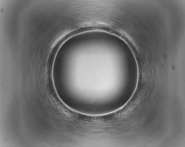 X0000067950975200604171431