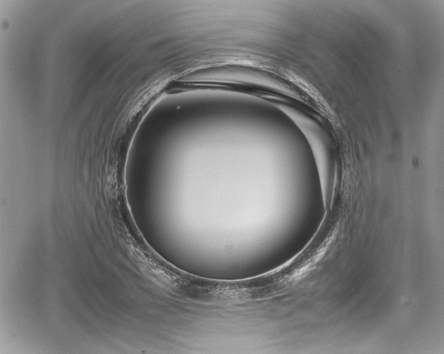 X0000067950977200604171431