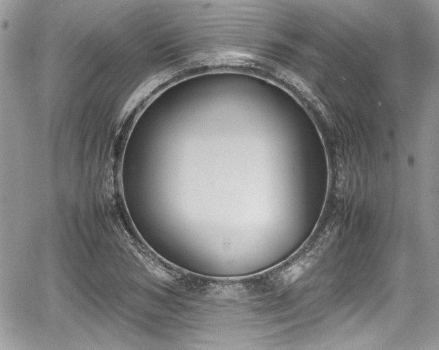 X0000067950978200604171431